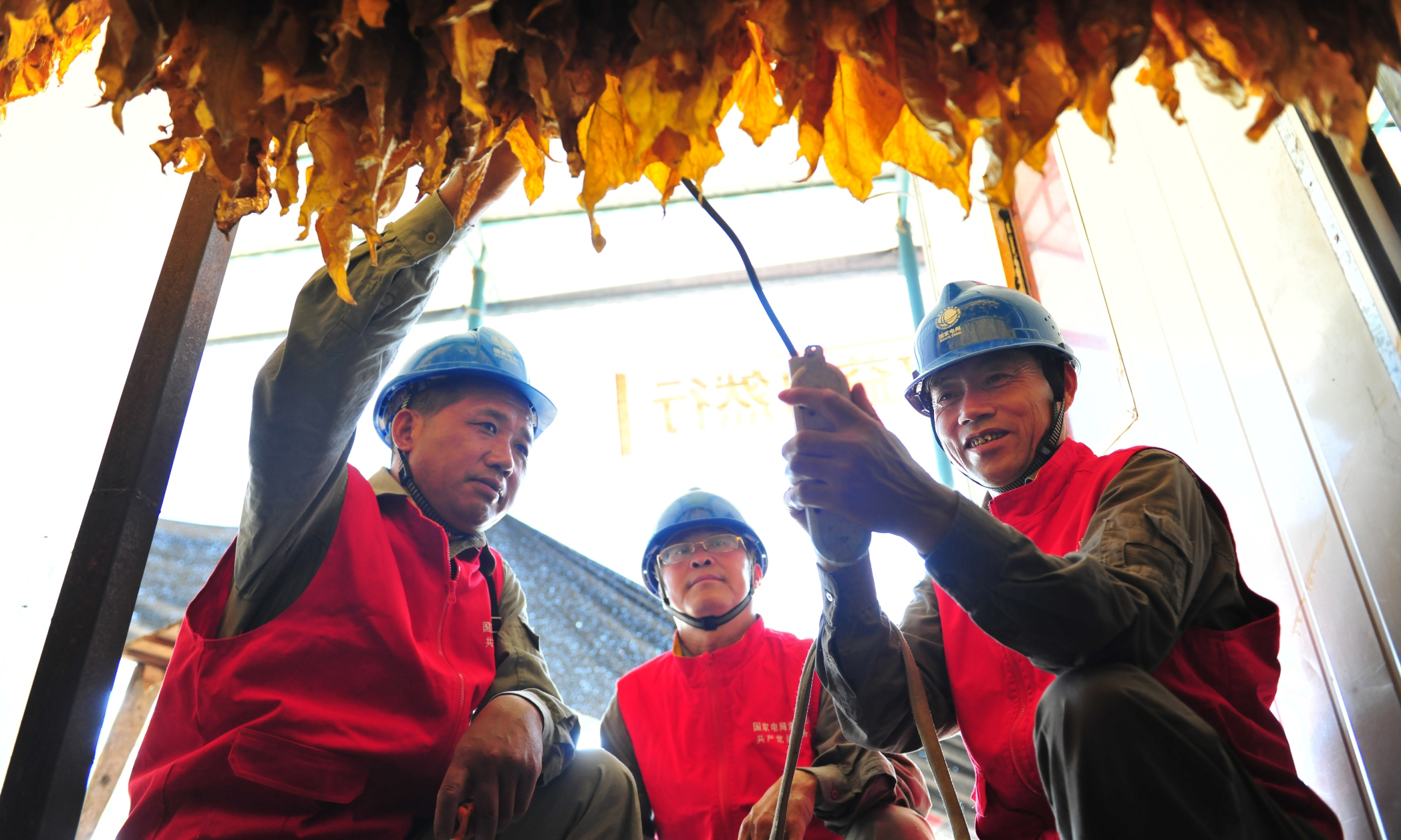湖北十堰供电公司开展烤烟烘房“煤改电”示范点建设。