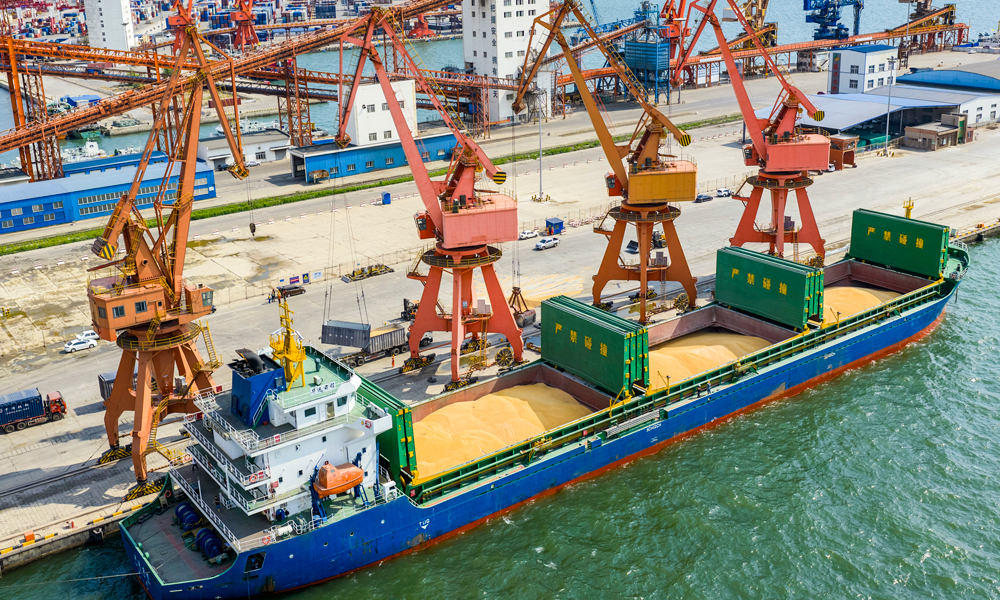 今年以来，营口港粮食吞吐量同比增幅超13%。图为营口港粮食码头作业现场。 