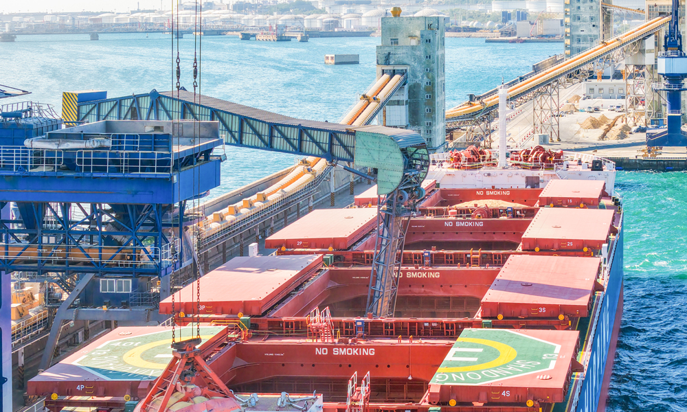 大连港是我国“北粮南运”的主要港口，截至目前，大连港货物吞吐量同比增幅近40%。图为大连港散粮码头作业现场。 