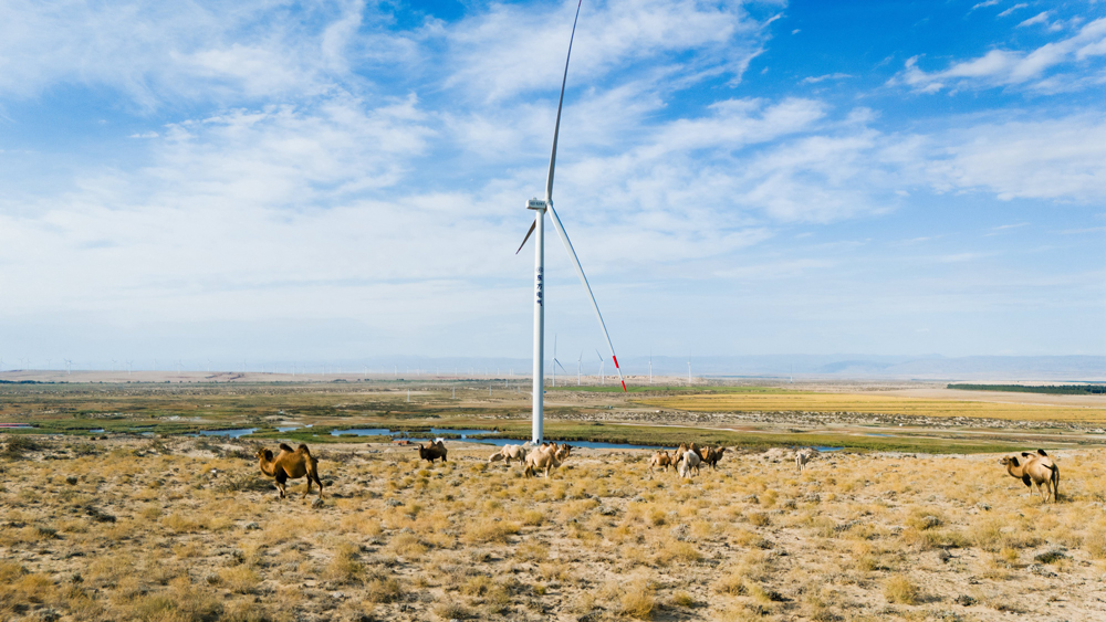 近日，东方电气集团布尔津100万千瓦风电项目完成全部风机吊装，标志着项目全面进入并网冲刺阶段。该项目对于推动当地能源结构转型、促进经济发展和生态保护具有重要意义。
