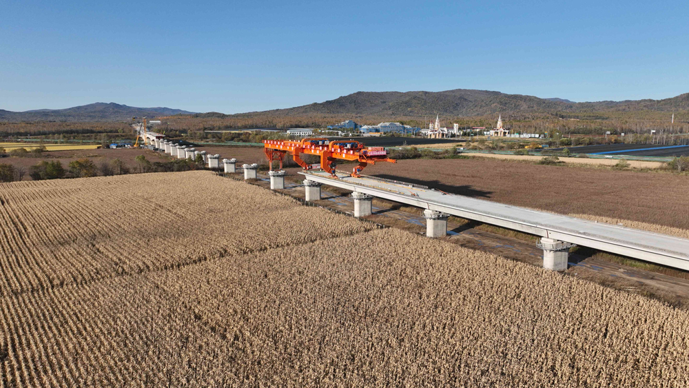 哈伊高铁是我国“八纵八横”高铁网京哈—京港澳通道的重要延伸，也是在建纬度最高、全年温差最大，且首条穿越多年岛状冻土区的高速铁路。针对穿越多年冻土区问题，项目团队采用挖除换填+预融、热棒+保温板等处理措施，并开展长期现场监测，为类似地区高铁建设积累了技术数据。