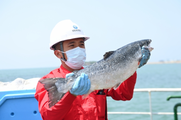 海洋3.jpg